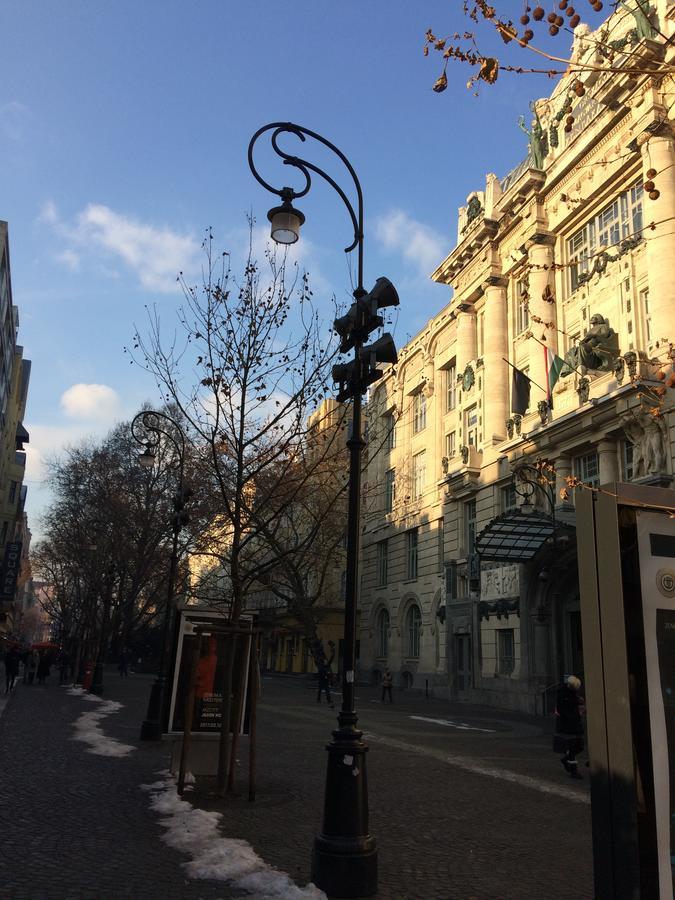 Black Dog Hostel Будапеща Екстериор снимка